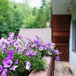 Romanka Фермерский дом