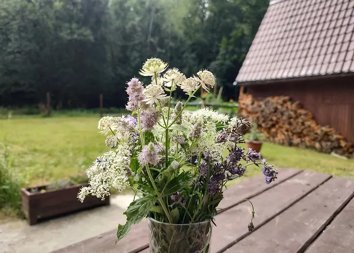 Romanka בית חווה Sopotnia Mala